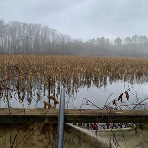 Meet your Posher, Charlie